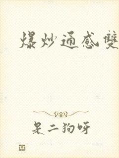 爆炒通感双胞胎