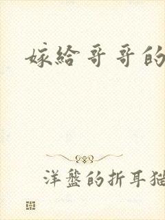 嫁给哥哥的情敌