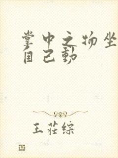 掌中之物坐上来自己动