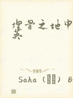 埋骨之地申屠奎英