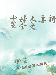少妇人妻诗雨小军全文