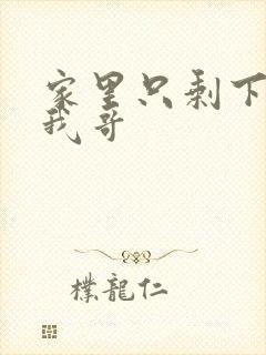 家里只剩下我和我哥