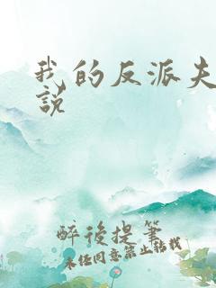 我的反派夫君小说