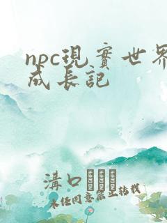 npc现实世界成长记