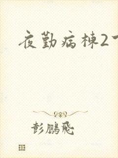 夜勤病栋2下载