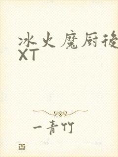 冰火魔厨后记TXT