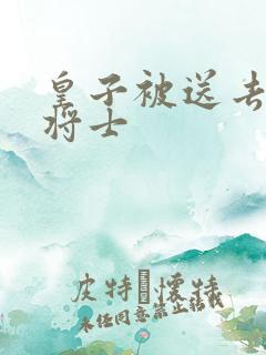 皇子被送去犒劳将士