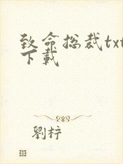 致命总裁txt下载