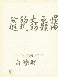 公的大龟慢慢挺进我的体内