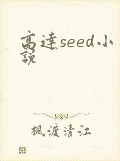 高达seed小说