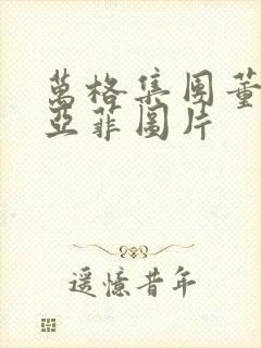 万格集团董事李亚菲图片