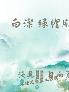 白洁 绿帽风云