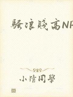 骚浪贱高NPH