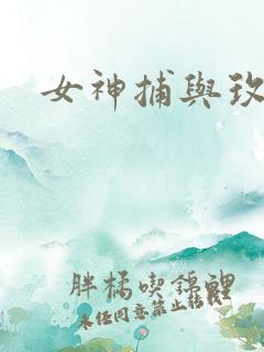 女神捕与玫瑰刀