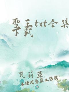 圣王txt全集下载