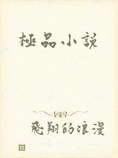 极品小说