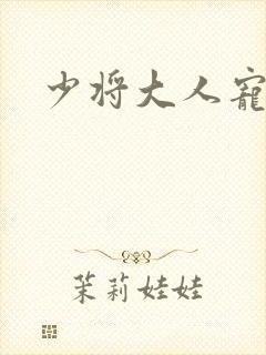 少将大人宠宠我