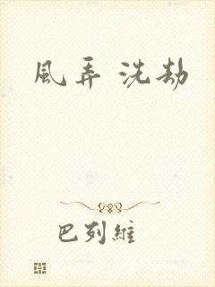 风弄 洗劫