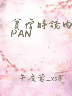 贫僧时镜肉补全PAN