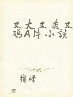 又大又爽又黄无码A片小说