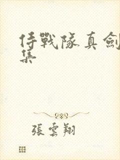 侍战队真剑者全集