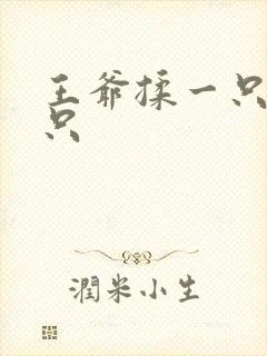 王爷揉一只舔一只