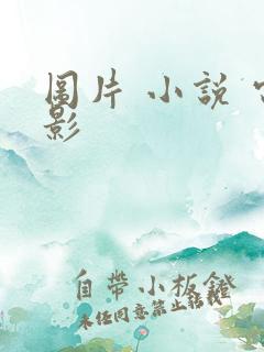 图片 小说 电影