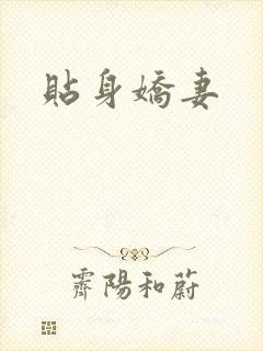贴身娇妻