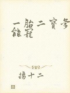 一胎二宝爹地超能宠