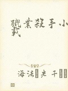 职业杀手小说下载