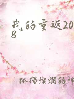 我的重返2008