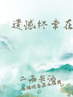 遗憾终常在小说