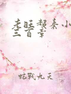 老旺超秦小雨第三百章