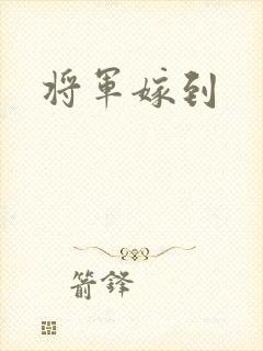 将军嫁到