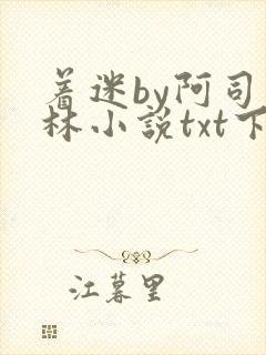 着迷by阿司匹林小说txt下载