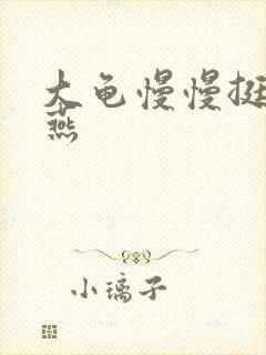 大龟慢慢挺进张燕