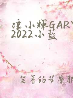 浪小辉GARY2022小蓝