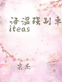 洛温强制车writeas