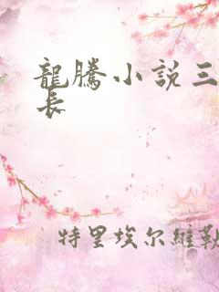 龙腾小说三宝局长