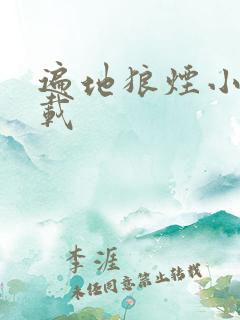 遍地狼烟小说下载