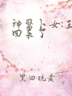 神医卜女:王妃回来了