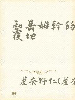 和岳姆干的翻天覆地