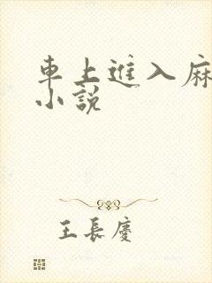 车上进入麻麻的小说