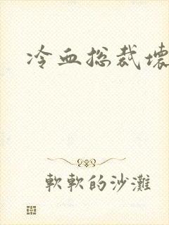 冷血总裁坏坏坏