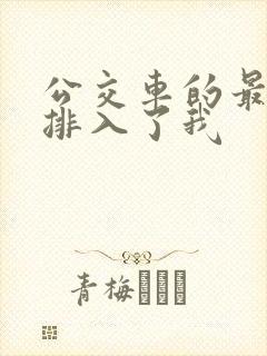 公交车的最后一排入了我