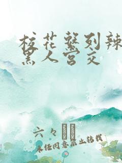 校花系列辣h文黑人宫交