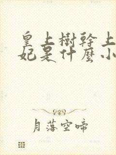 皇上树干上太子妃是什么小说