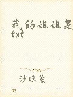 我的姐姐是美女txt