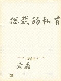 总裁的私有宝贝