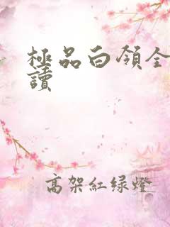 极品白领全文阅读